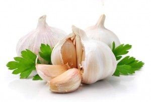 garlic_002 பூண்டு