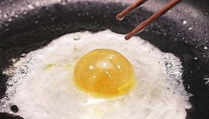 egg