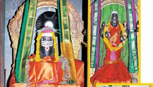 201702251410573656_marriage-problem-naga-dosham-pariharam-vaiyappamalai_SECVPF