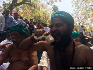 09-1491722961-farmers356