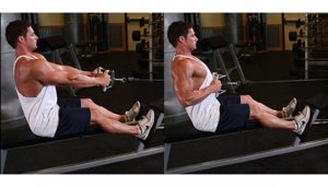 201704011204034977_Strengthens-muscles-Exercises_SECVPF