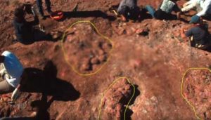 201704180614153899_70-millionyearold-dinosaur-eggs-with-embryos-found_SECVPF