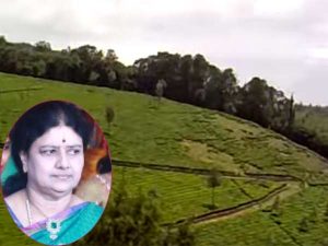 06-1494062111-kodanad-estate32