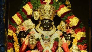 201705061404440523_moolam-star-best-pariharam_SECVPF