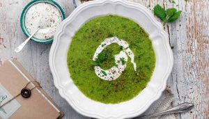 201705261100332371_Digestive-problems-healing-mint-soup_SECVPF