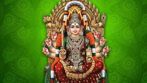 201706231117197189_nellukadai-mariamman-worship_SECVPF