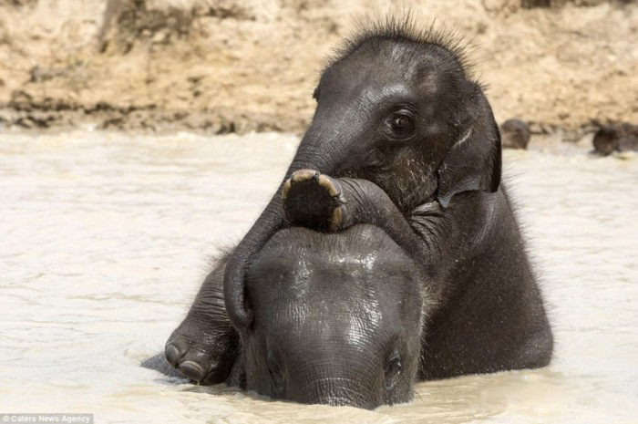 625.0.560.320.160.600.053.800.700.160.90 (4)