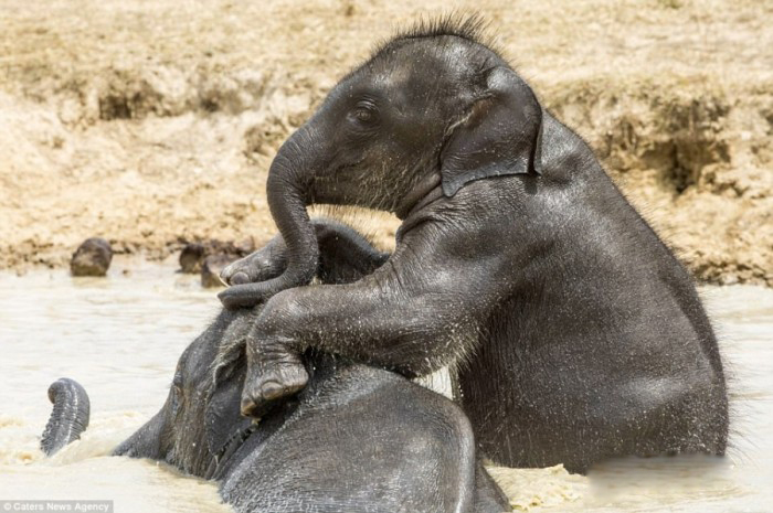 625.0.560.320.160.600.053.800.700.160.90 (5)