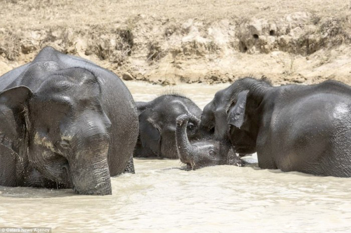 625.0.560.320.160.600.053.800.700.160.90 (6)