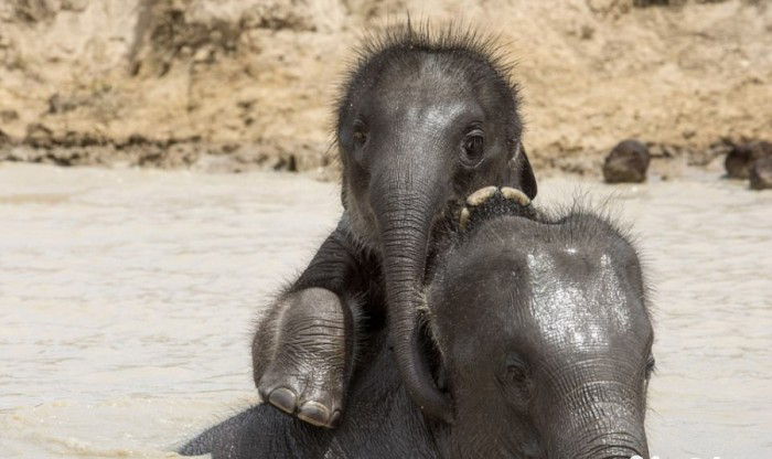 625.0.560.320.160.600.053.800.700.160.90 (7)