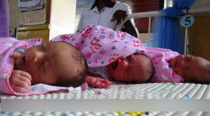 625.0.560.320.160.600.053.800.700.160.90 (1)