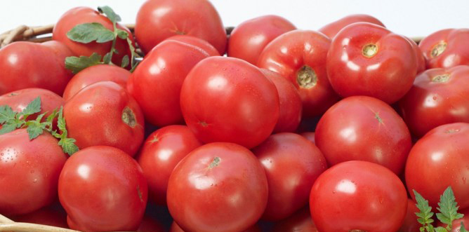 625.0.560.370.180.700.770.800.668.160.89 (62)