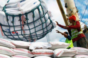 Background - 2022-02-07T131544.036