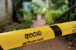 Background - 2023-12-15T190614.065