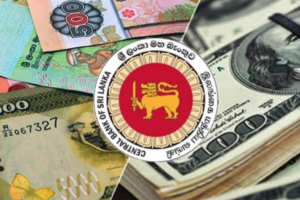 Background - 2024-09-05T141346.531