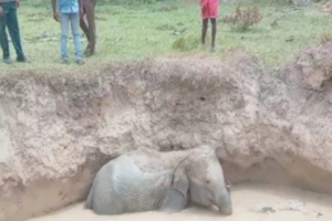 Background - 2024-09-08T184511.236