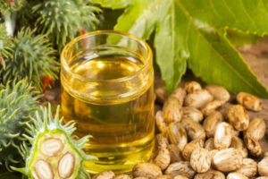 Background - 2024-10-24T085855.151