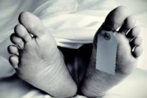 Background - 2024-11-03T173836.268