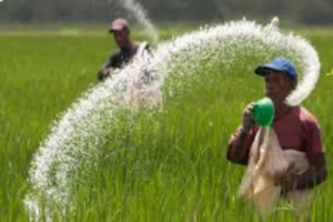 Background - 2024-12-10T161721.197