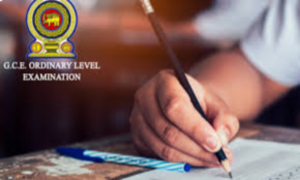 Background - 2024-12-18T185911.754