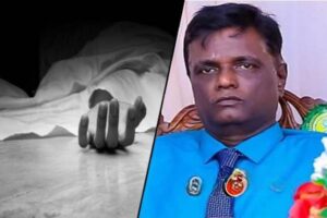 25-6911bba3d176d (1)